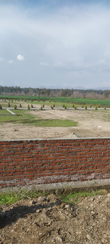 Plot Area in  Plot at Selakui – for Sale