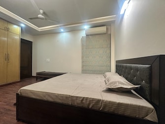 3 BHK Builder Floor For Rent in Saket Delhi  7477119