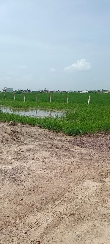Plot Area in  Plot at Sultanpur – for Sale