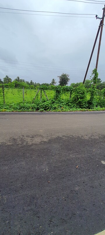 Plot For Resale in Palghar Palghar  7478045