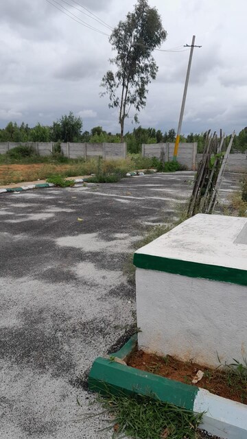  Plot – Exterior View View at Gantiganahalli - for Sale