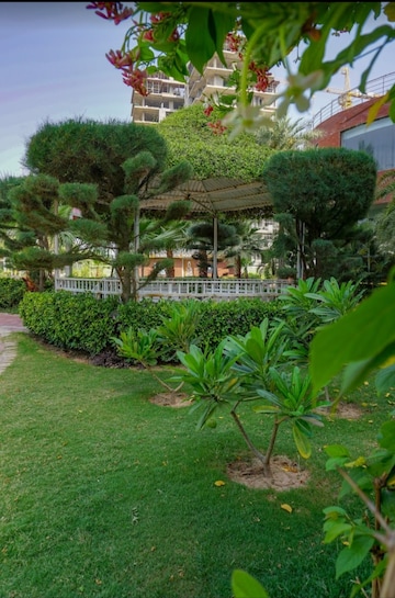 3 BHK Apartment – Garden View at Trishla City, Patiala Road - for Sale