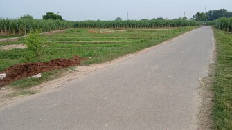 Plot For Resale in Modipuram Bypass Meerut  7479423