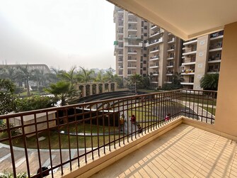 3 BHK Villa For Rent in Amrapali Golf Homes Sector 4, Greater Noida Greater Noida  7479446