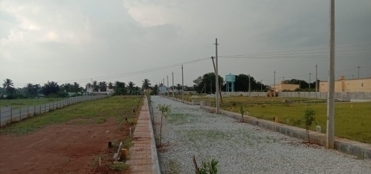 Plot For Resale in Yelahanka Bangalore  7479724