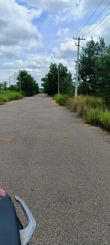 Plot Area in  Plot at Kongara Kalan – for Sale