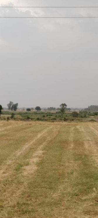 Plot For Resale in Sector 123 Mohali  7480080