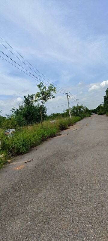 Plot Area in  Plot at Kongara Kalan – for Sale