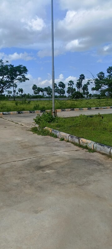 Plot Area in  Plot at Kongara Kalan – for Sale