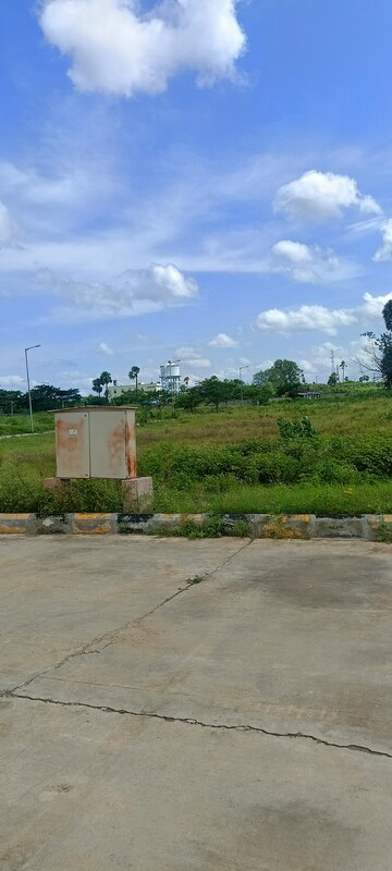 Plot Area in  Plot at Kongara Kalan – for Sale