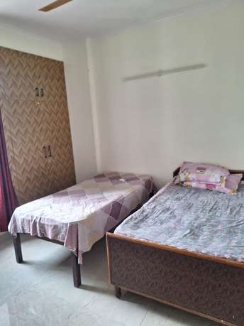 3 BHK Apartment For Rent in Sector Phi ii Greater Noida  7480085