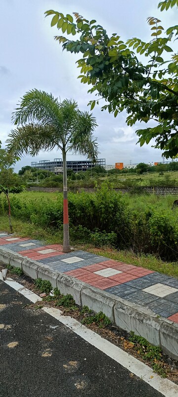  Plot For Sale in Kongara Kalan