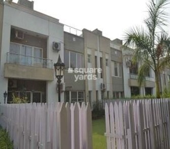 3 BHK Independent House For Rent in Stellar Sigma Villas Gn Sector Sigma iv Greater Noida  7480402