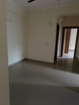 2 BHK Apartment For Rent in Maxblis Grace Sector 61 Noida  7480513