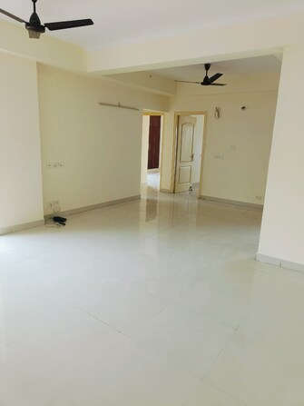 2 BHK Apartment For Rent in Maxblis Grace Sector 61 Noida  7480513