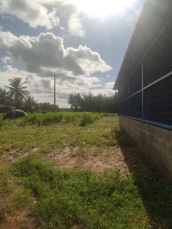 Commercial Land 40000 Sq.Ft. For Resale in Manchakalkuppe Tumkur  7480540