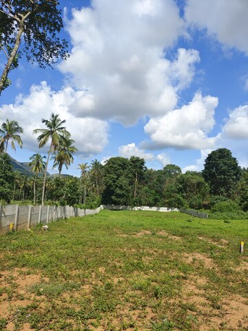 Plot For Resale in Kallekkulangara Palakkad  7480817