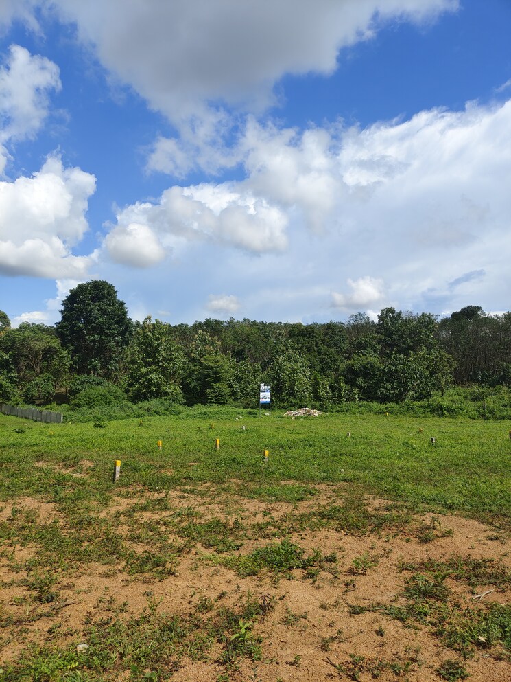 undefined, kallekkulangara  1744 Sq.Yd. Plot In Kallekkulangara Palakkad 7480817