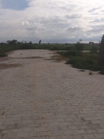 Plot Area in  Plot at Tappal – for Sale