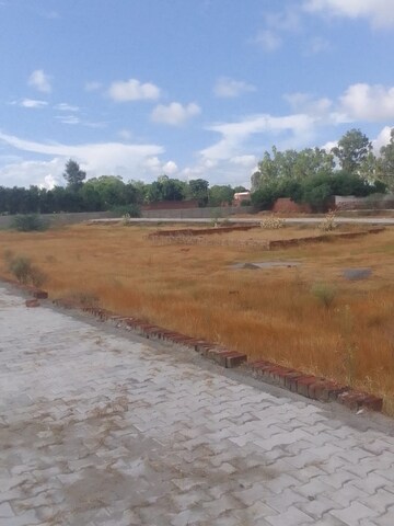 Plot Area in  Plot at Tappal – for Sale