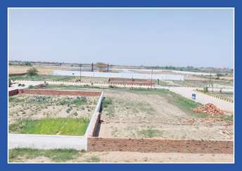 Plot For Resale in Tappal Aligarh  7481753