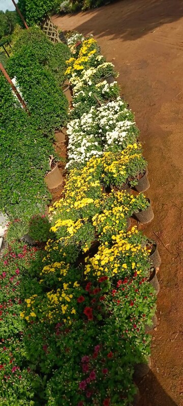  Plot – Garden View at Aduri Dream Valley, Vittyal - for Sale