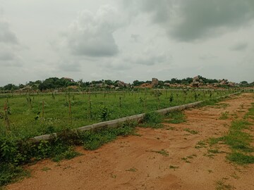 Plot Area in  Plot at Aduri Dream Valley, Vittyal – for Sale