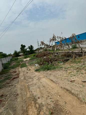 Commercial Land 1 Acre For Resale in Manchugonda Hyderabad  7480278