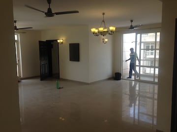 3 BHK Builder Floor For Rent in Unitech Woodstock Floors Sector 50 Gurgaon  7482472