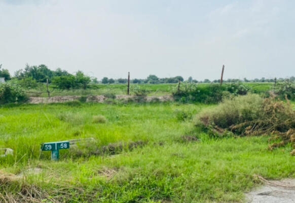 Plot For Resale in Yeida, Greater Noida Greater Noida  7482484