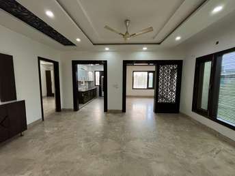 3 BHK Builder Floor For Rent in RWA Block-A2 Paschim Vihar Paschim Vihar Delhi  7483661