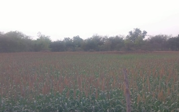 Plot For Sale in Sanand