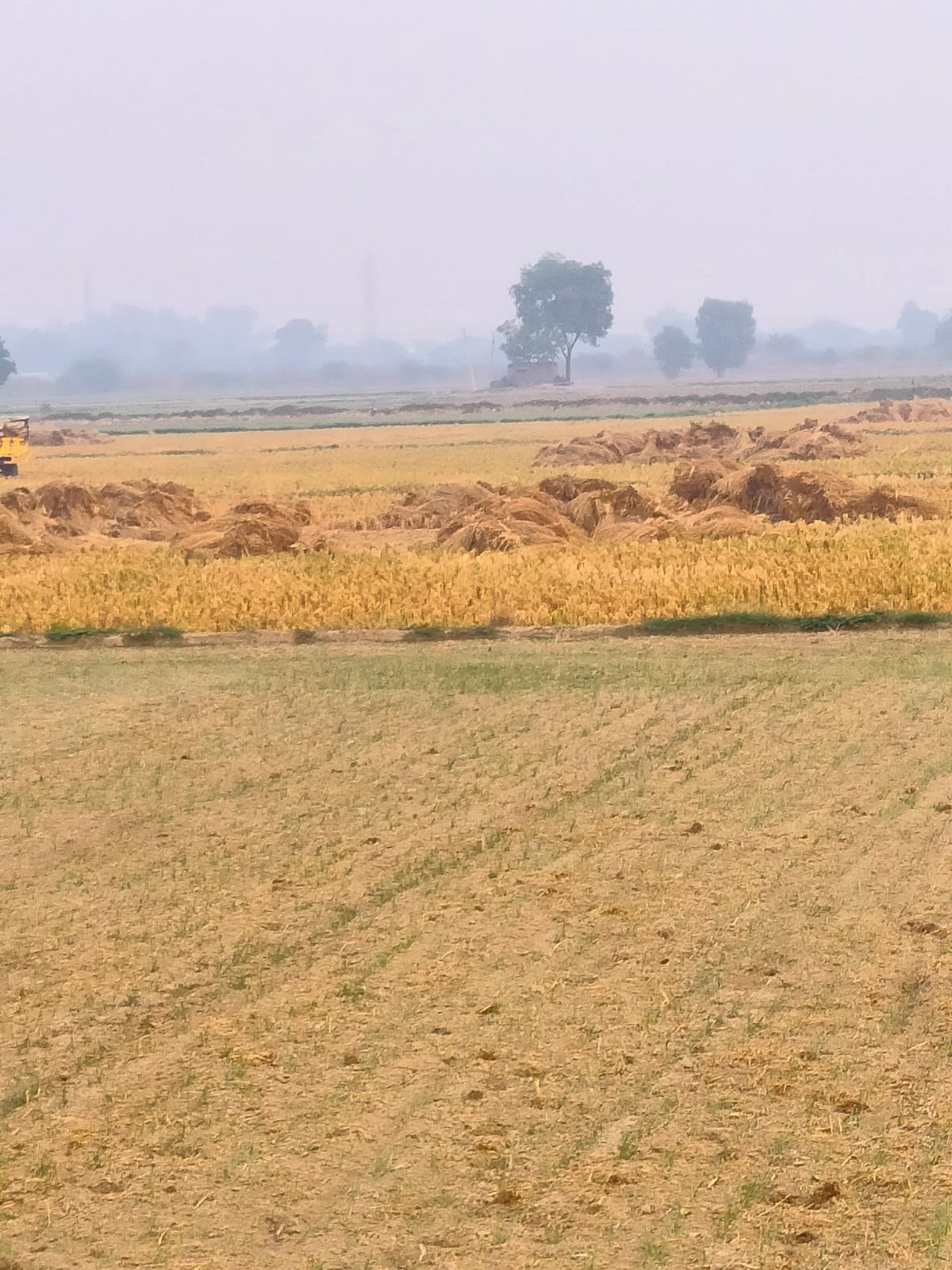 Commercial Land 8 Acre For Resale in Industrial Area Sonipat  7484166