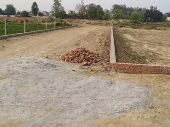 Plot For Rent in Safedabad Lucknow  7484165