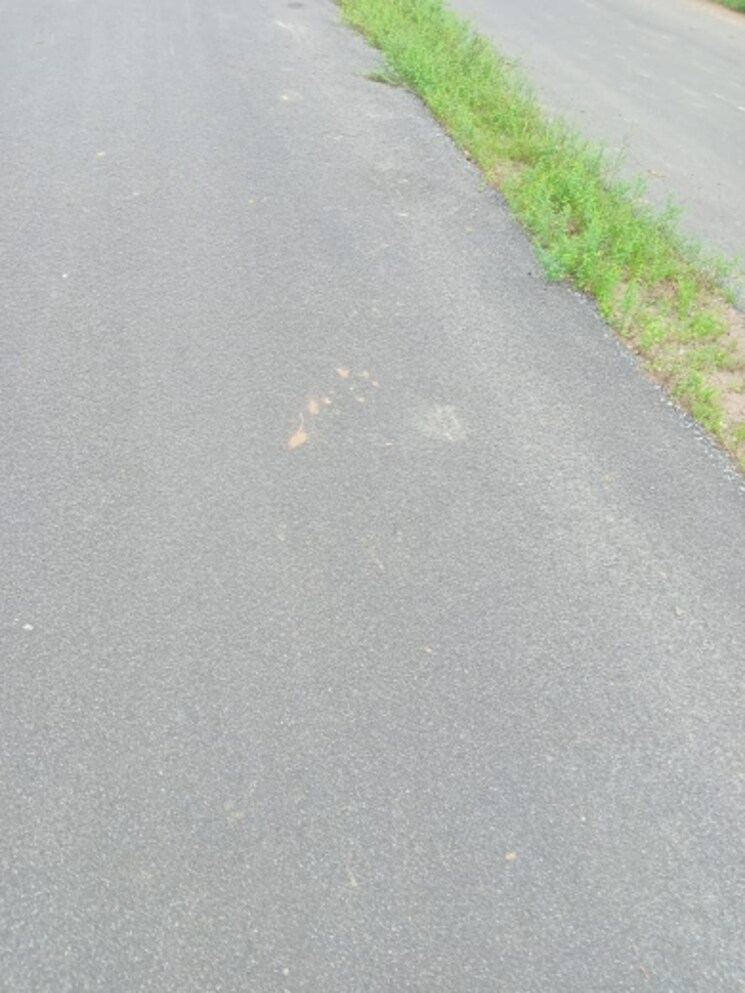 Exterior View, sikar road  1500 Sq.Ft. Plot In Sikar Road Jaipur 7484333