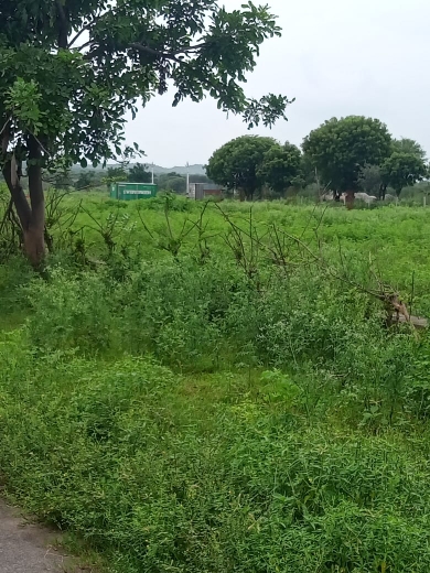 Plot For Sale in Manglam Foresta 