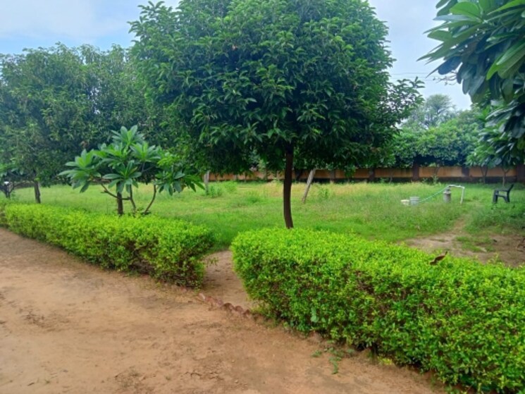 Garden, sikar road  1500 Sq.Yd. Plot In Sikar Road Jaipur 7484488