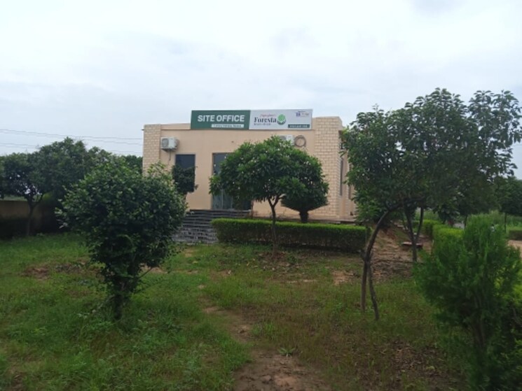 Garden, sikar road  1500 Sq.Yd. Plot In Sikar Road Jaipur 7484488