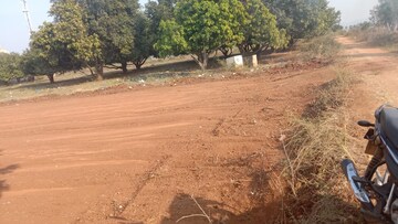 Plot Area in  Plot at Mylavaram – for Sale
