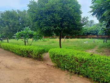  Plot – Garden View at Sikar Road - for Sale