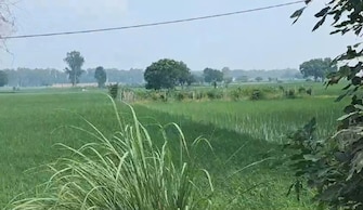 Commercial Land 2904 Sq.Yd. For Resale in Kharkhoda Sonipat  7484742