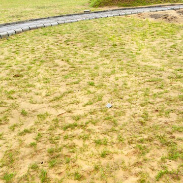  Plot – Garden View at Uttam Shyamashish Park, Prithvisinghpura At Naiwala - for Sale