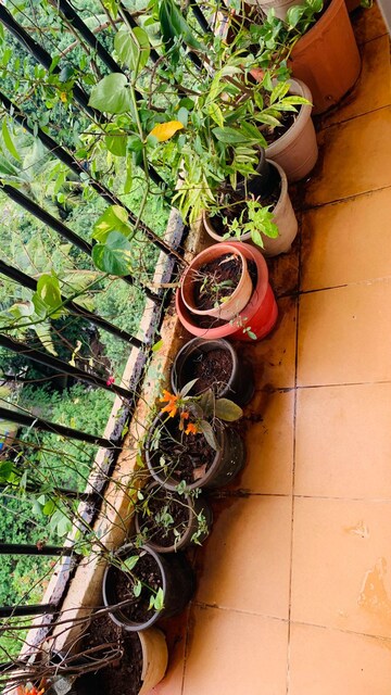Balcony in 2.5 BHK Apartment at Dhokali – for Sale