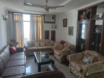 3 BHK Apartment For Rent in MD Leafstone Apartments Patiala Road Zirakpur  7485234