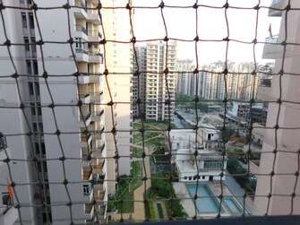 2 BHK Apartment For Resale in JKG Palm Court Noida Ext Sector 16c Greater Noida  7485325