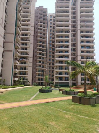 2 BHK Apartment For Resale in JKG Palm Court Noida Ext Sector 16c Greater Noida  7485325