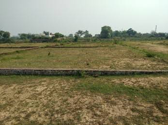 Plot For Resale in Ashok Nagar Allahabad  7485641