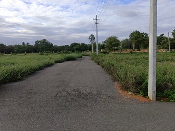 Plot Area in  Plot at Narasapura – for Sale