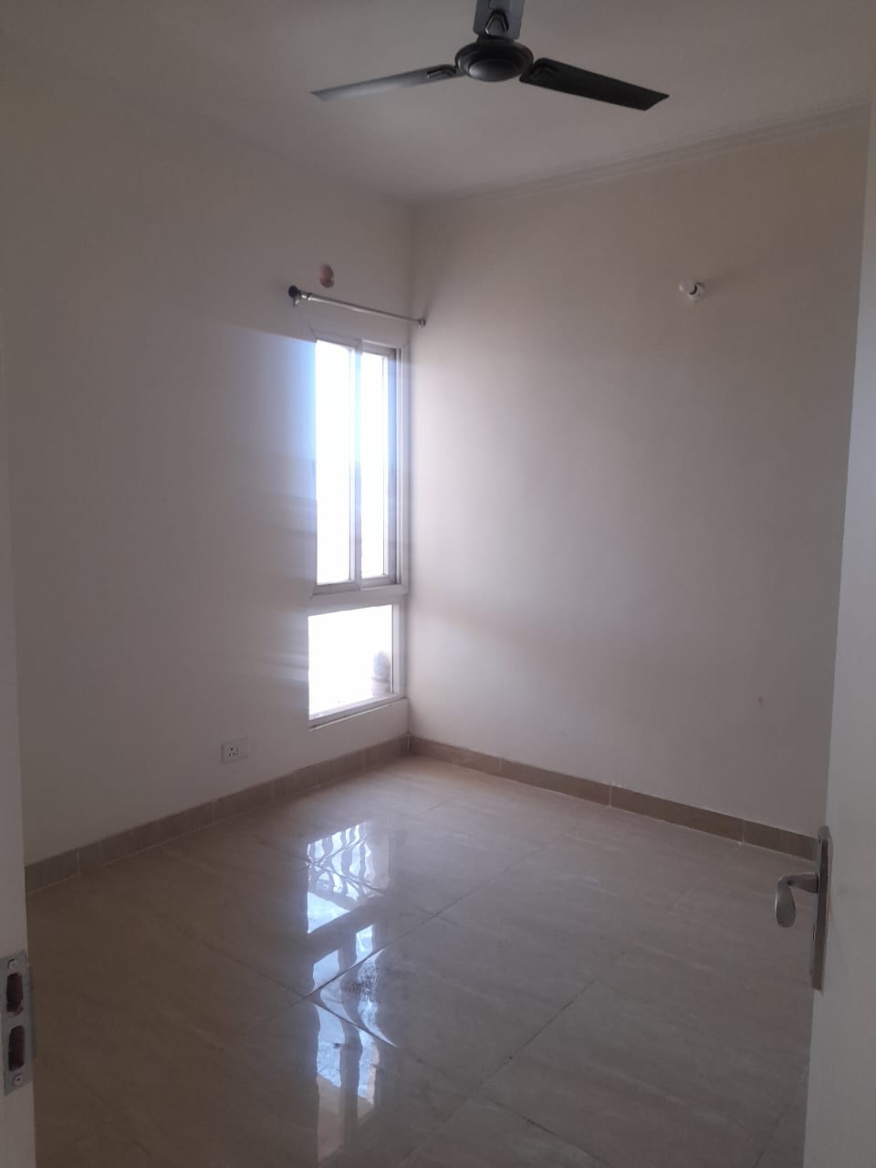 2 BHK Apartment For Rent in Noida Ext Sector 4 Greater Noida  7486235