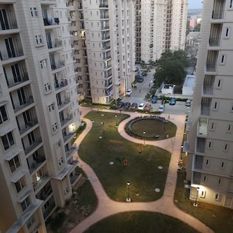 2 BHK Apartment For Resale in Signature The Serenas Sohna Sector 36 Gurgaon  7486472